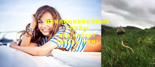 круглые Каменка