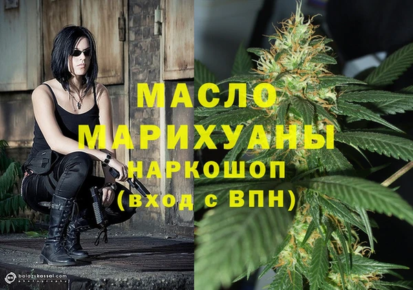 гашик Каменногорск