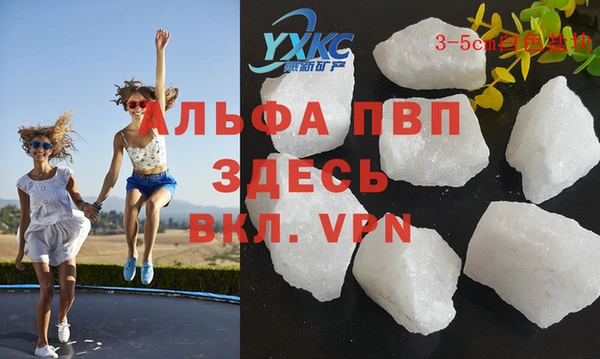 гашик Каменногорск