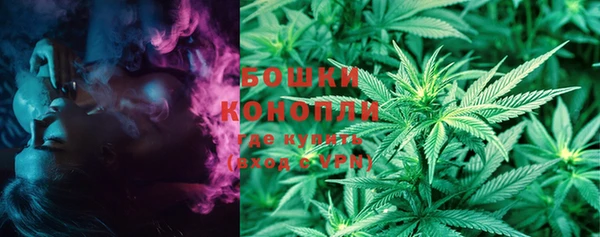 гашик Каменногорск