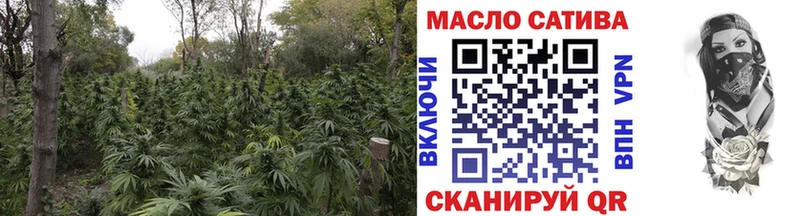 Купить закладки  Озёрск  ТГК вейп 