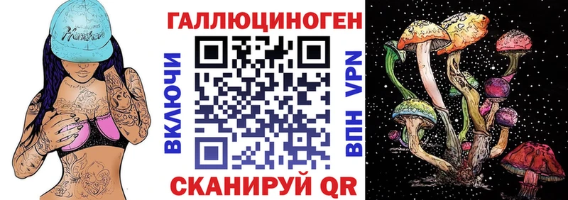Купить закладки  Озёрск  Галлюциногенные грибы Psilocybe 